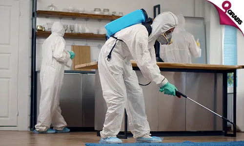 Pest Control: Cockroach & Bedbug Treatment Services!